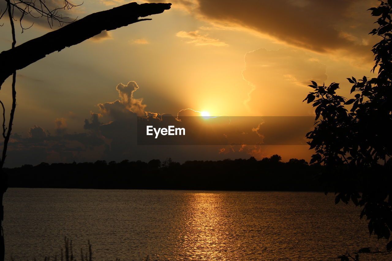 Scenic view of silhouette trees against sky during sunset