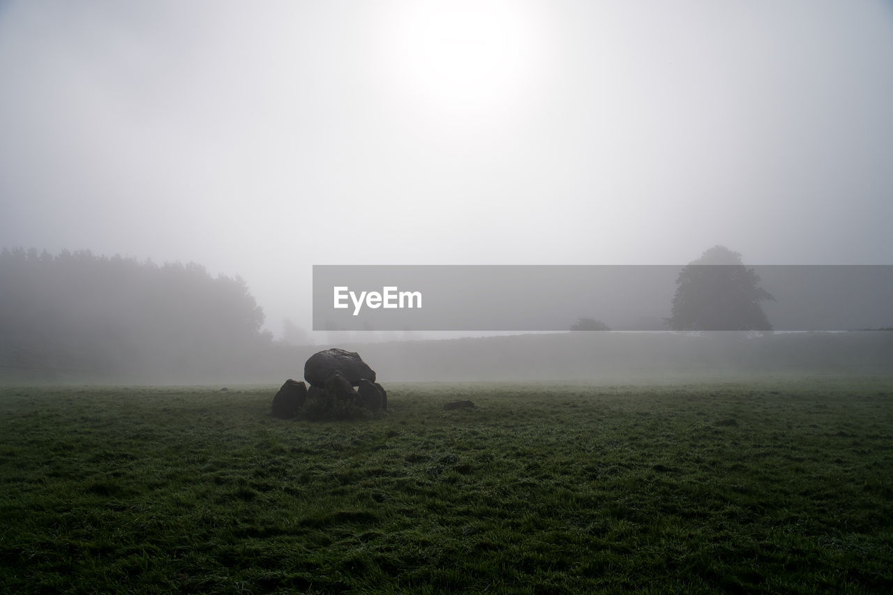 HAY BALES ON FIELD IN FOGGY WEATHER