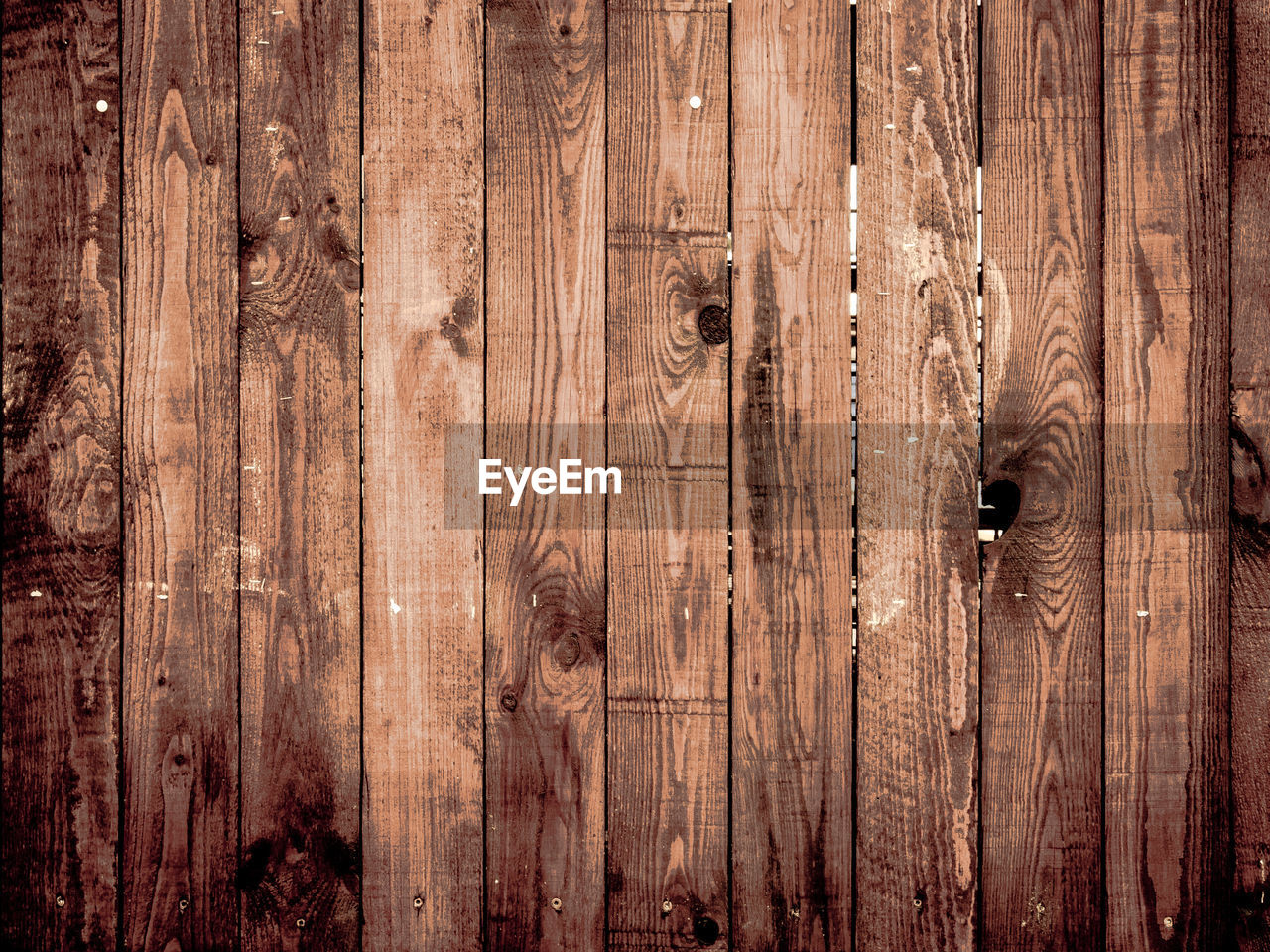 Close-up of wooden door