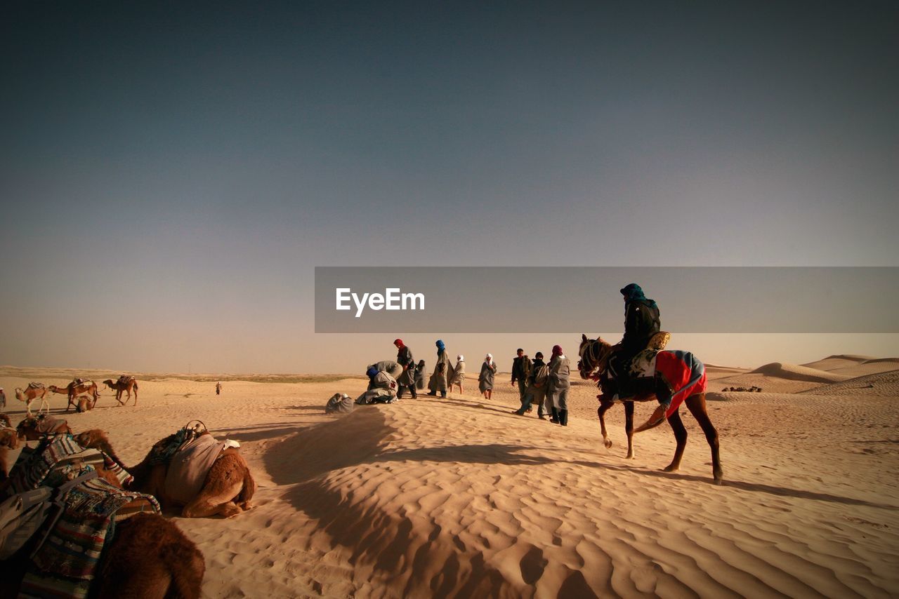 People and camels at desert against sky