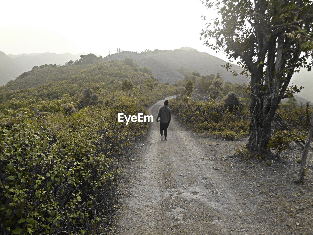 Rear view of man walking on mountain against sky