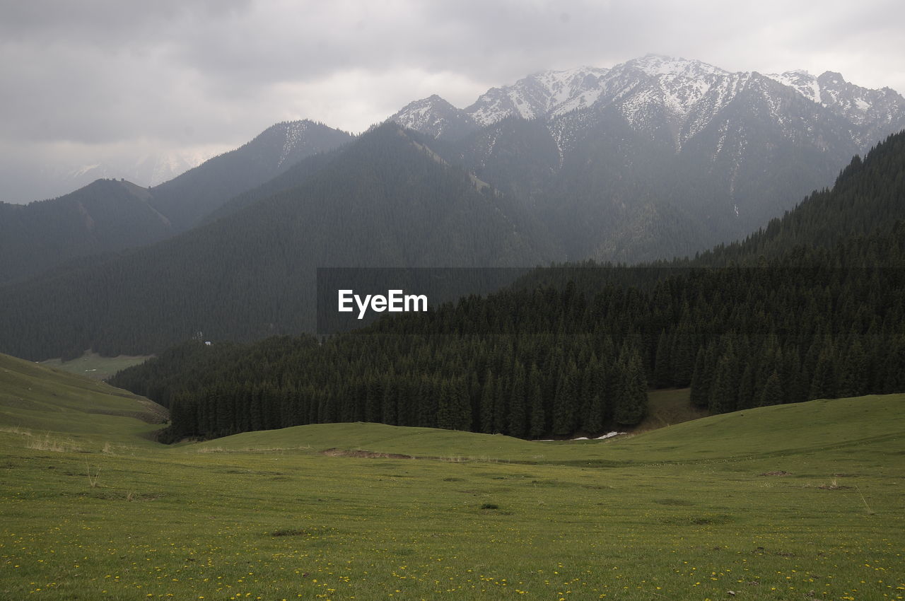 Scenic view of field and mountains against sky