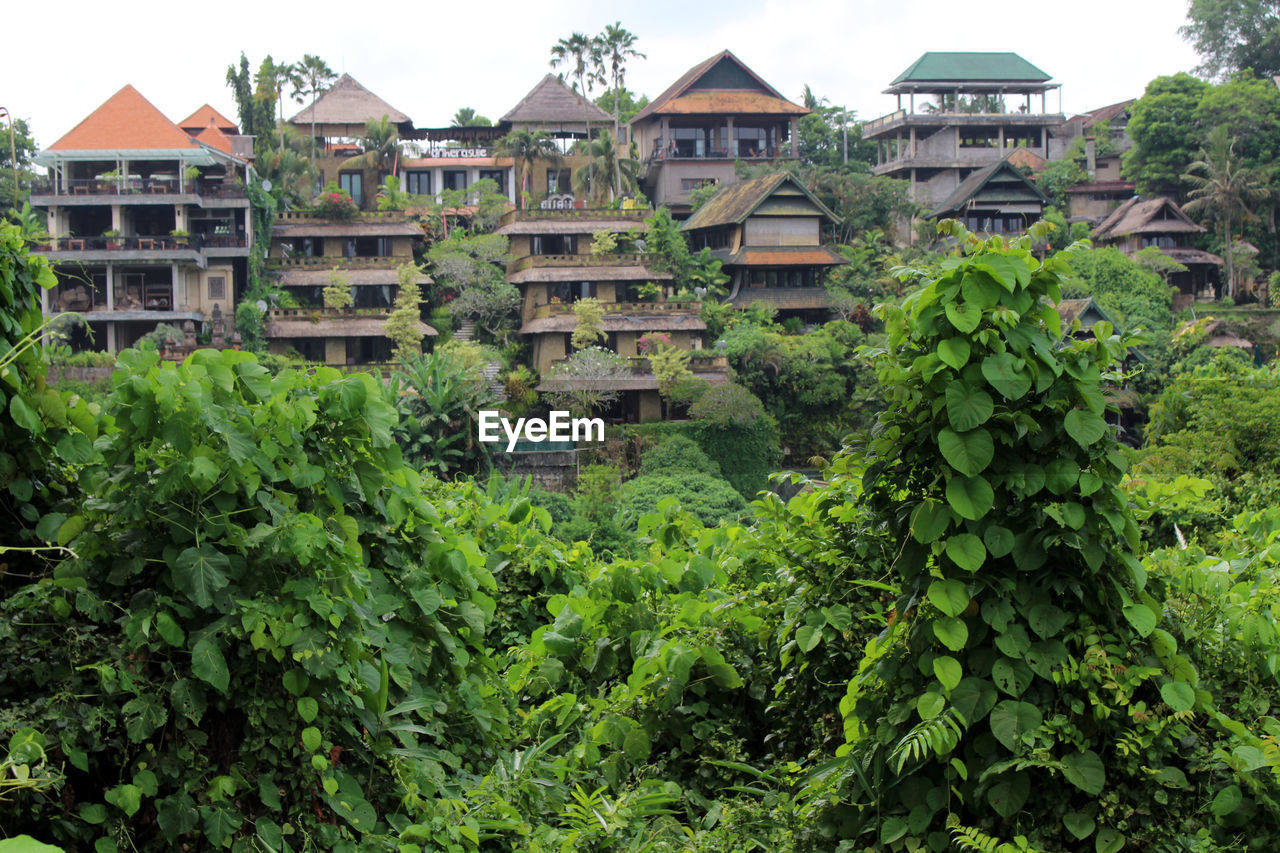 architecture, plant, built structure, building exterior, building, garden, house, tree, nature, green, residential district, growth, flower, home, no people, plantation, mansion, outdoors, day, leaf, plant part, foliage, estate, lush foliage, beauty in nature, sky, land, landscape