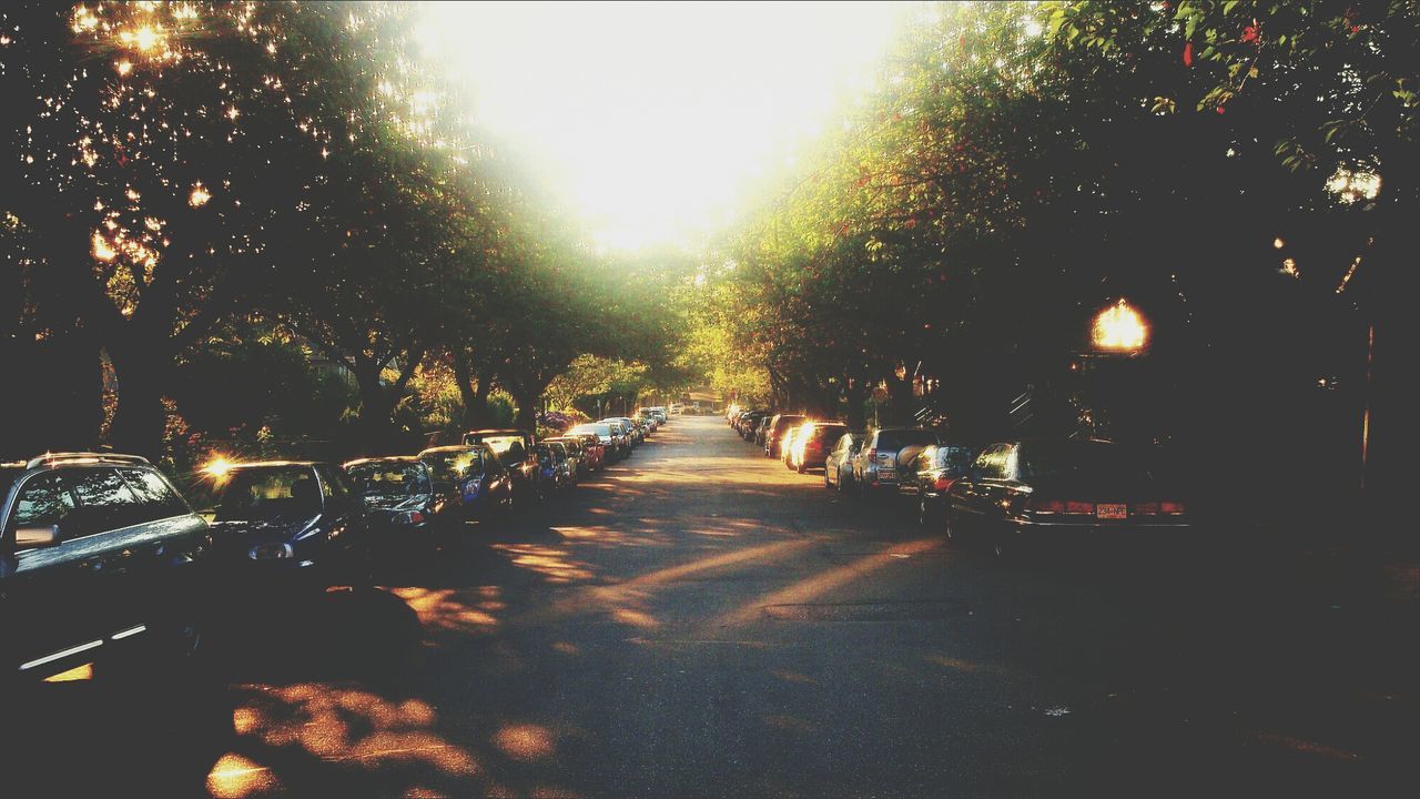 Street with parked cars in sunlight