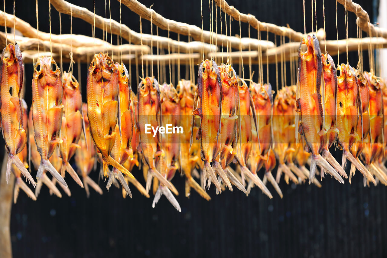 Close-up of seafood hanging on market stall