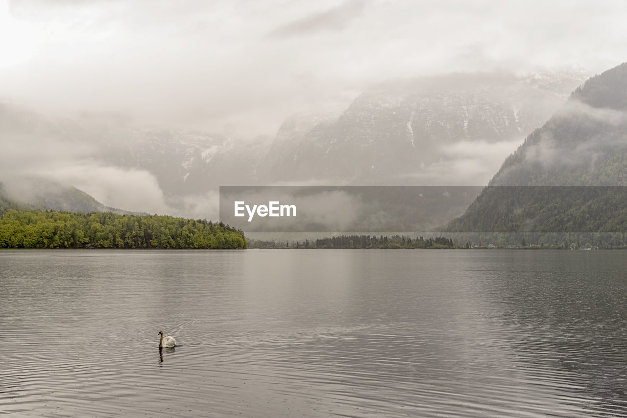 Scenic view of lake and mountains