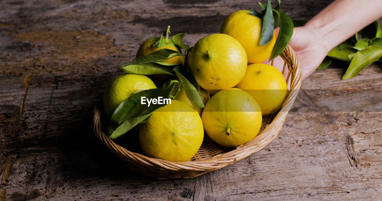 Basket full of bergamot orange tree on the table