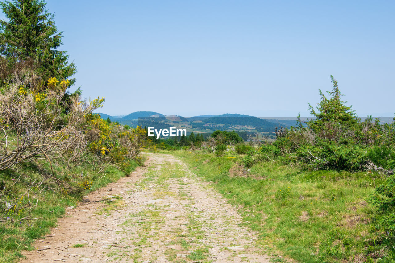Scenic view of landscape against clear sky