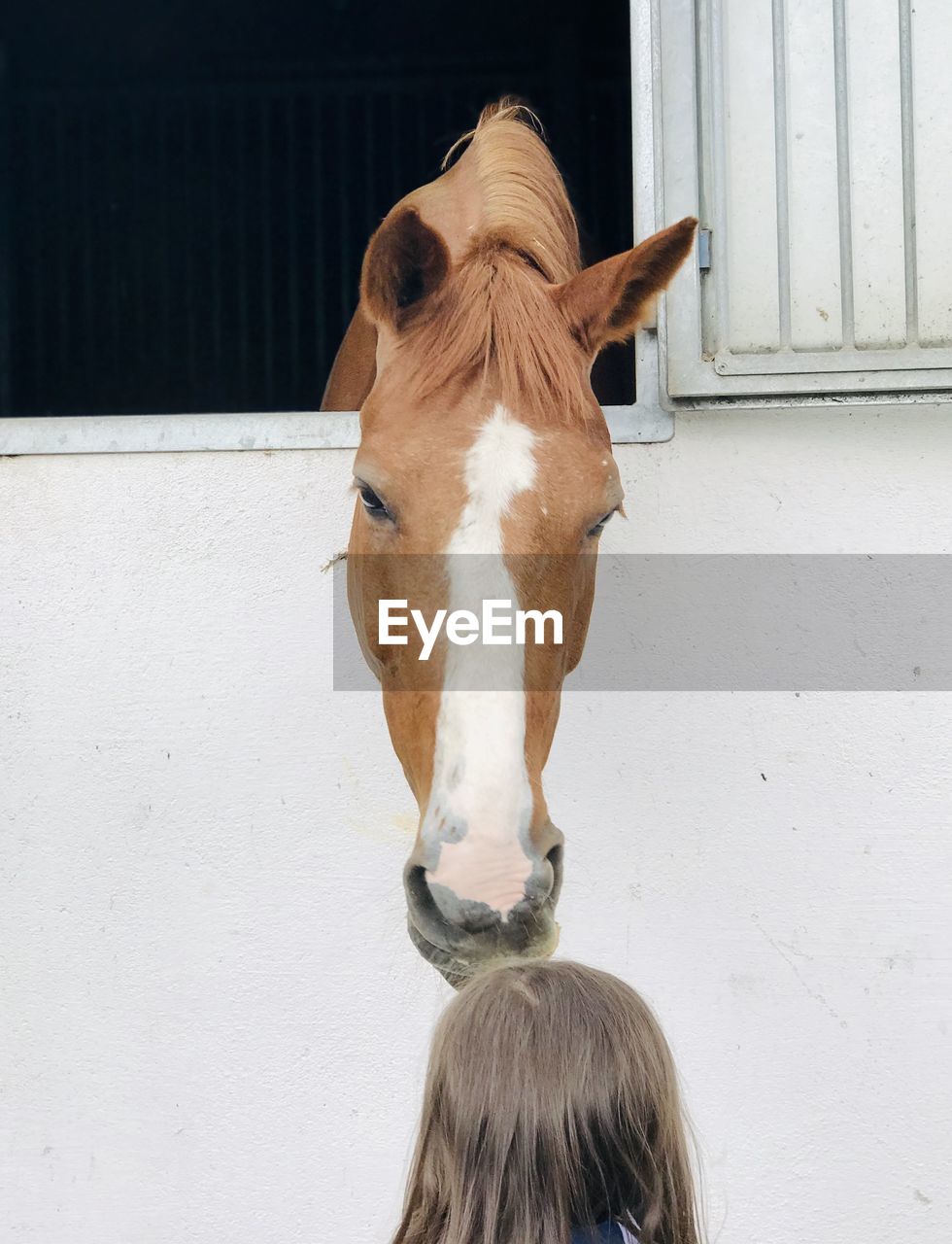 Rear view of girl standing by horse in stable