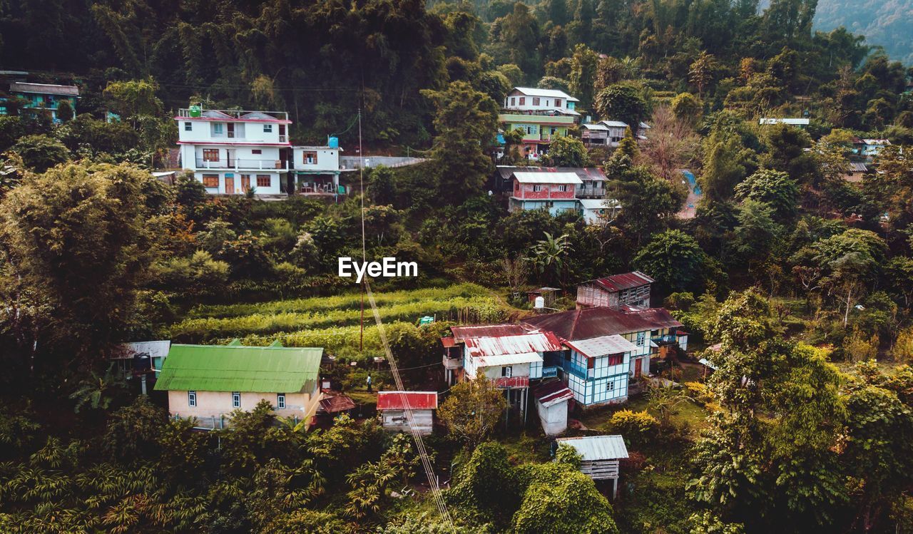 High angle view of trees and buildings in city