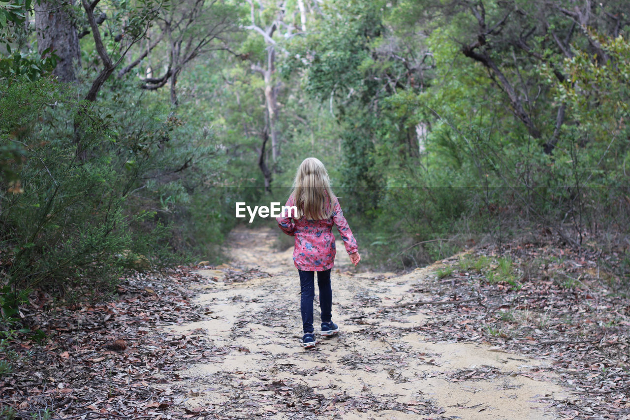 Rear view of girl walking amidst trees in forest