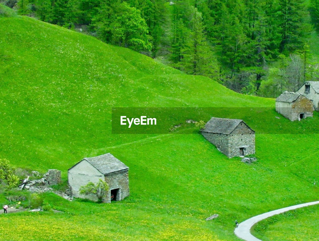 BUILT STRUCTURE ON LAND BY TREES AND HOUSES IN FARM