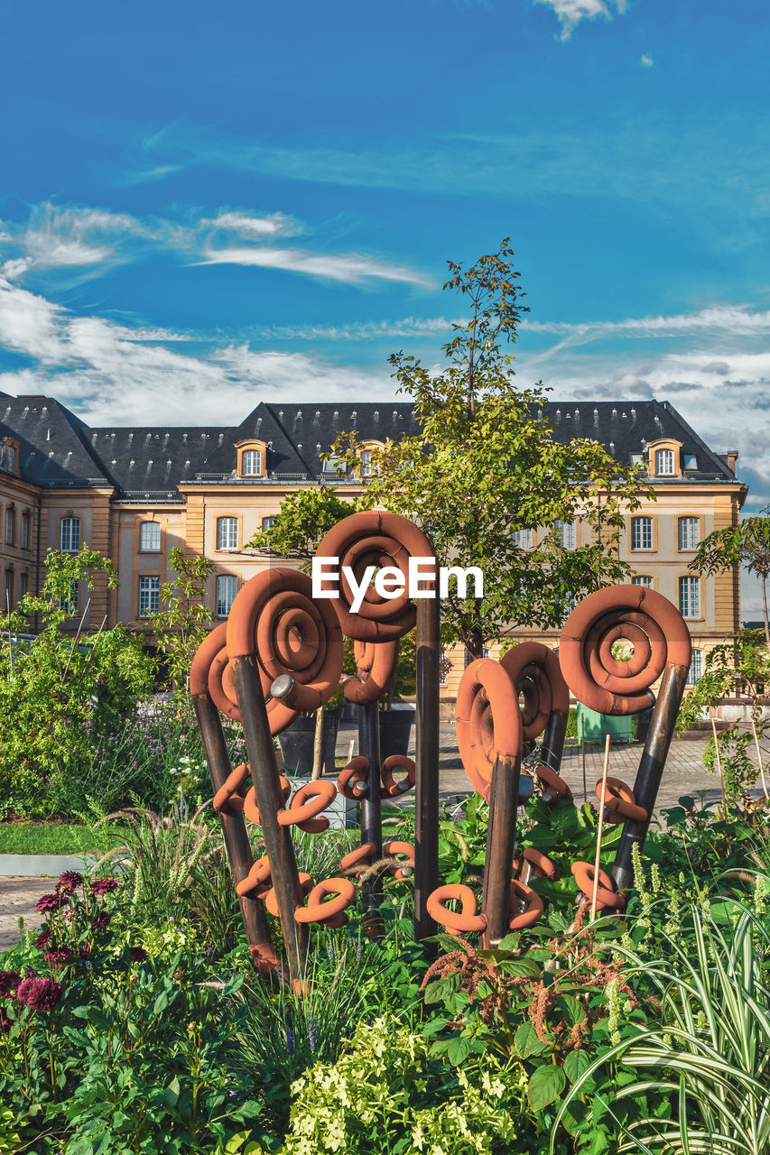 VIEW OF PLANTS OUTSIDE HOUSE