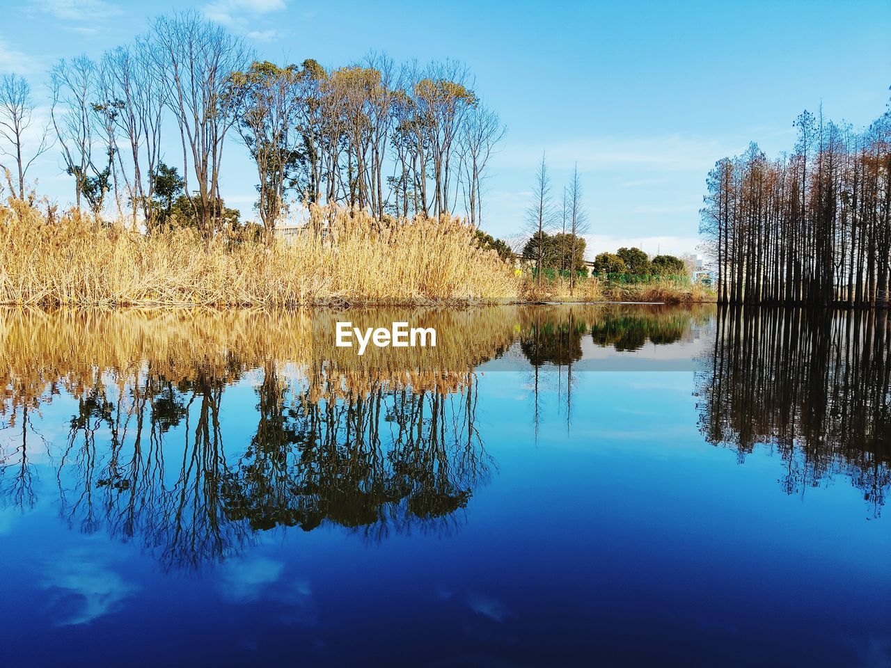 reflection, water, nature, tree, sky, lake, plant, tranquility, beauty in nature, autumn, scenics - nature, tranquil scene, morning, blue, no people, landscape, cloud, outdoors, non-urban scene, environment, day, travel destinations, grass, body of water, idyllic, land, reflection lake, leaf, sunlight, standing water