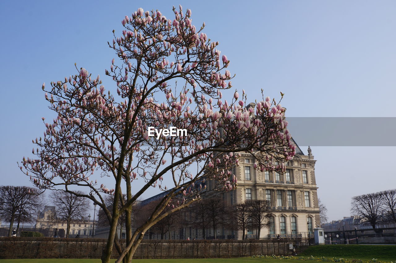 Low angle view of historical building