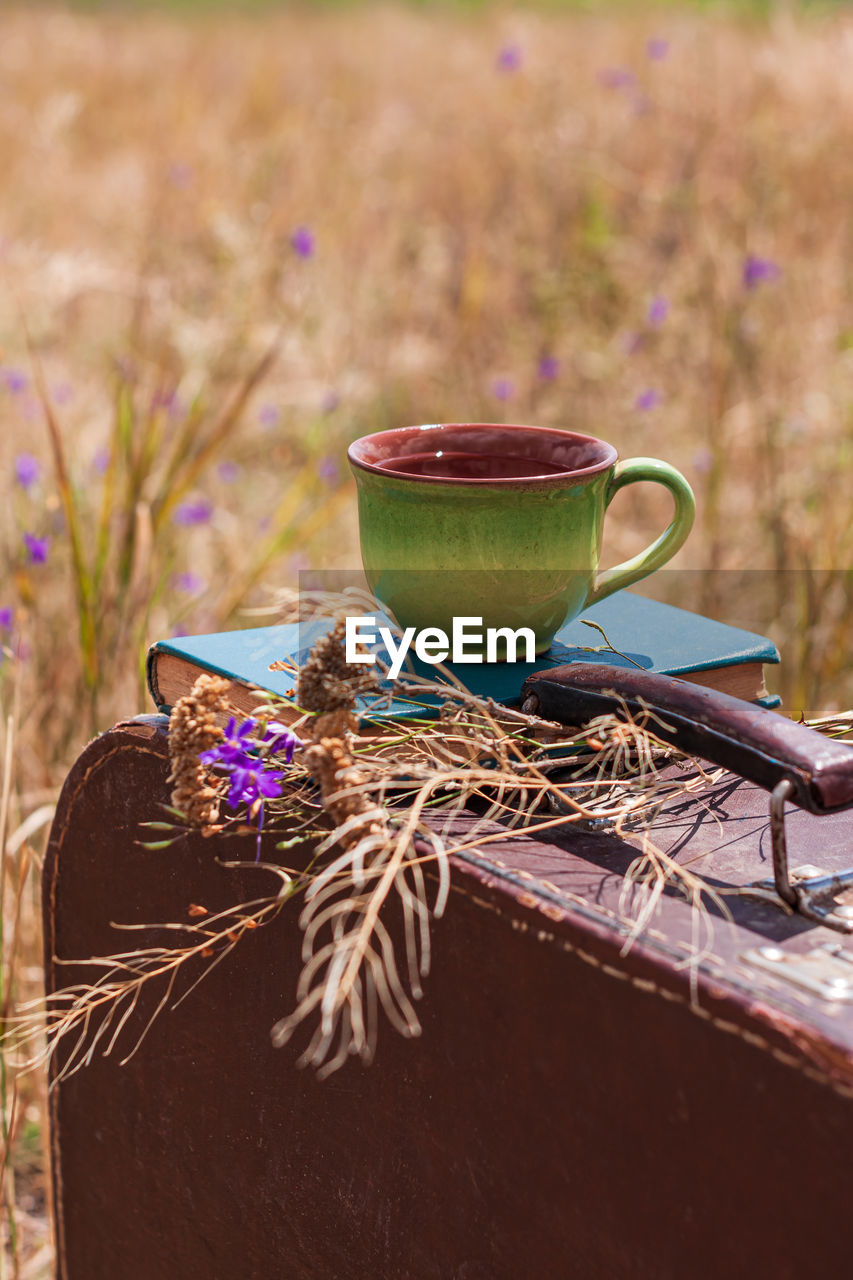 Brown vintage suitcase book, wild purple flowers cup of tea on grass. atmospheric retro still life.