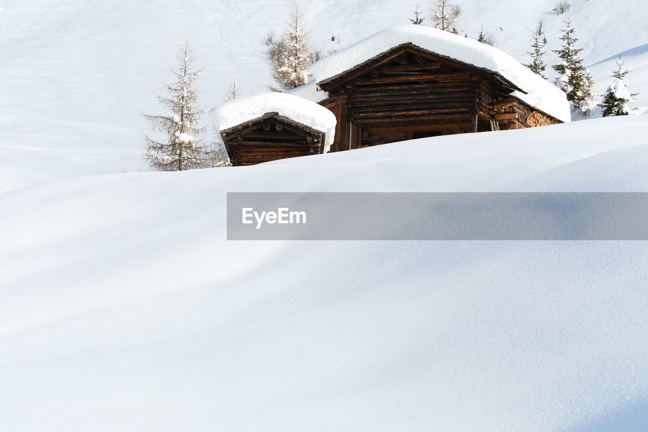 SNOW COVERED HOUSES AND TREE AND BUILDINGS