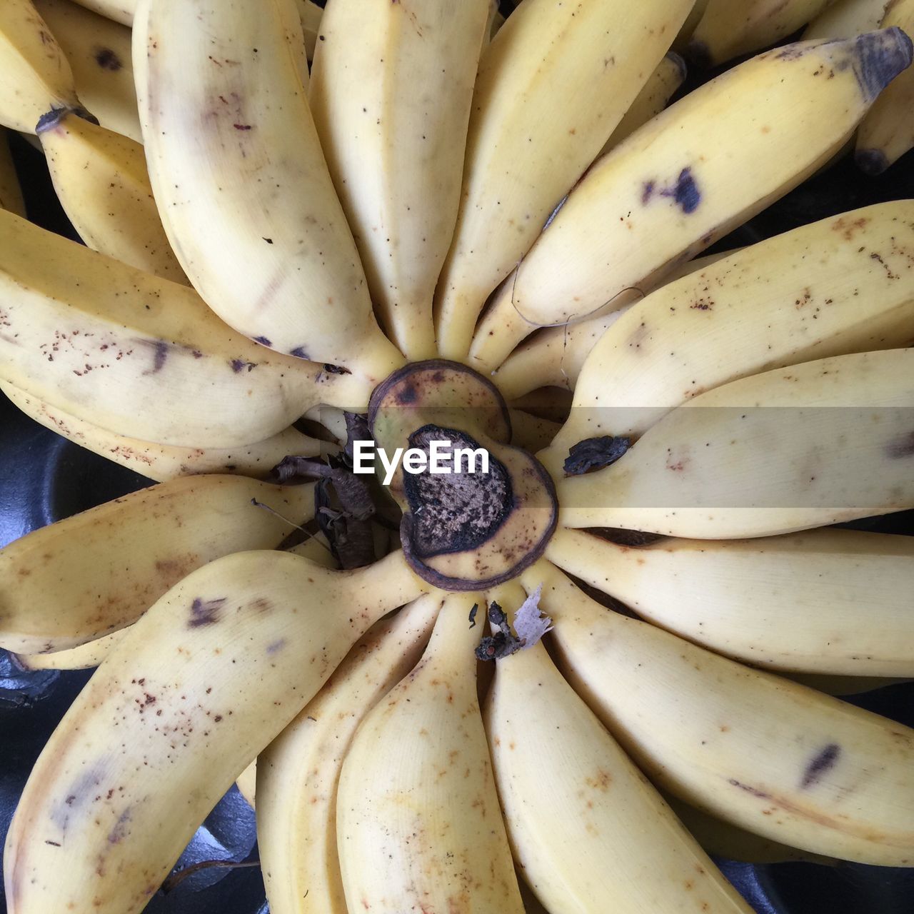 Close-up of bananas