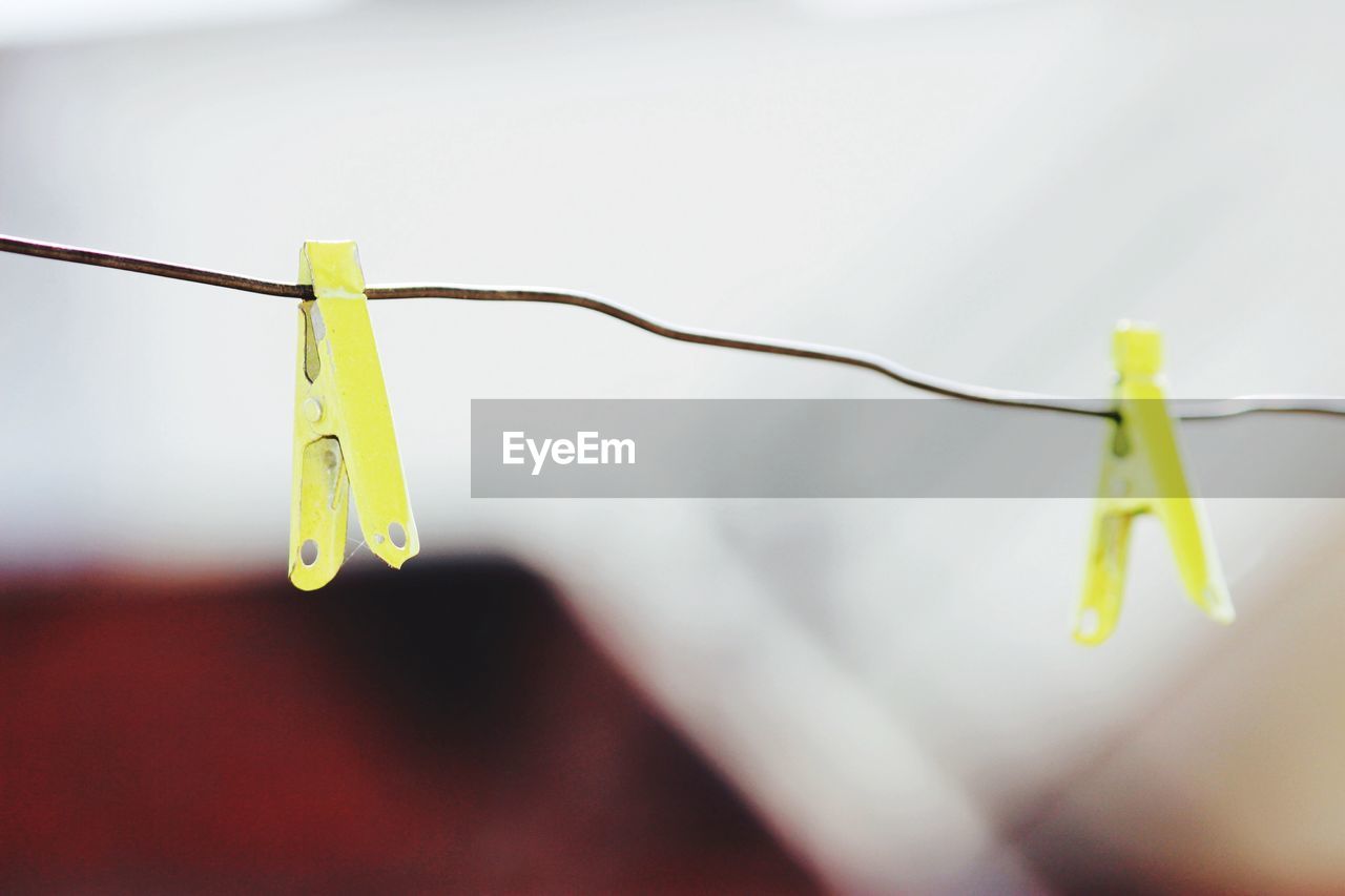 Close-up of clothes on clothesline