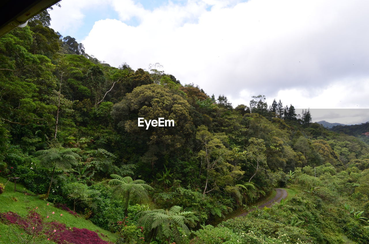 VIEW OF LANDSCAPE AGAINST CLOUDY SKY