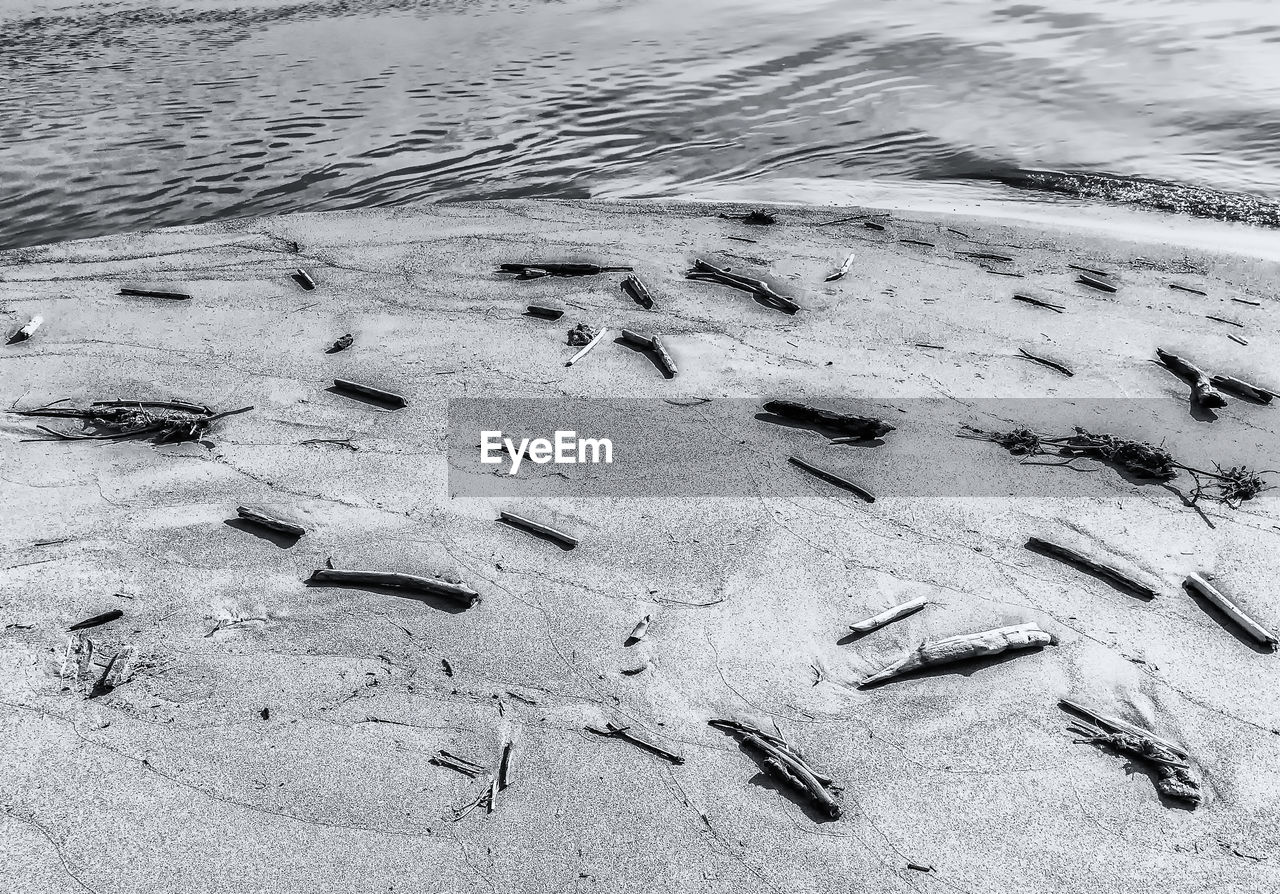 High angle view of footprints on beach