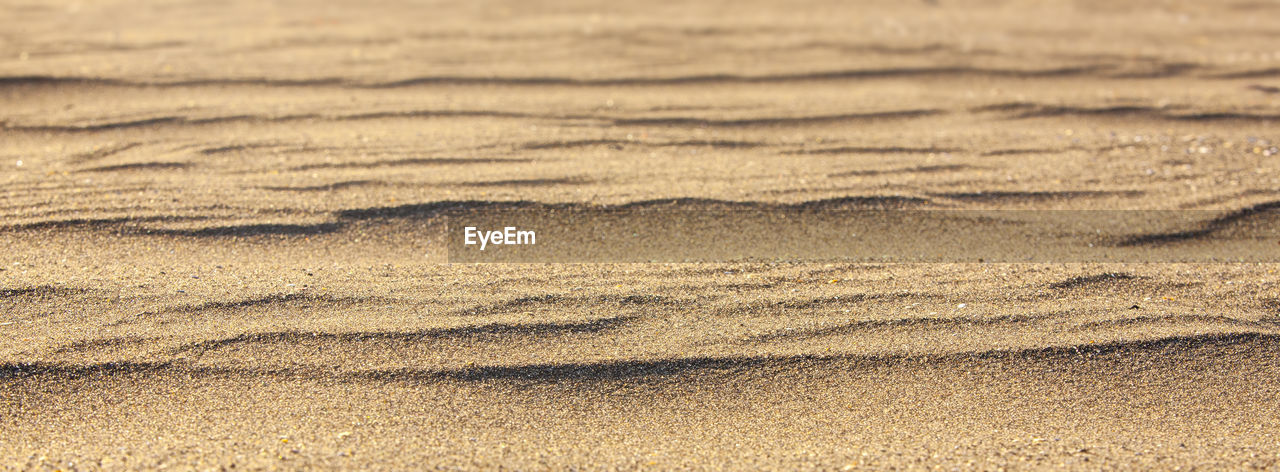 The yellow sand closeup as texture.selective focus