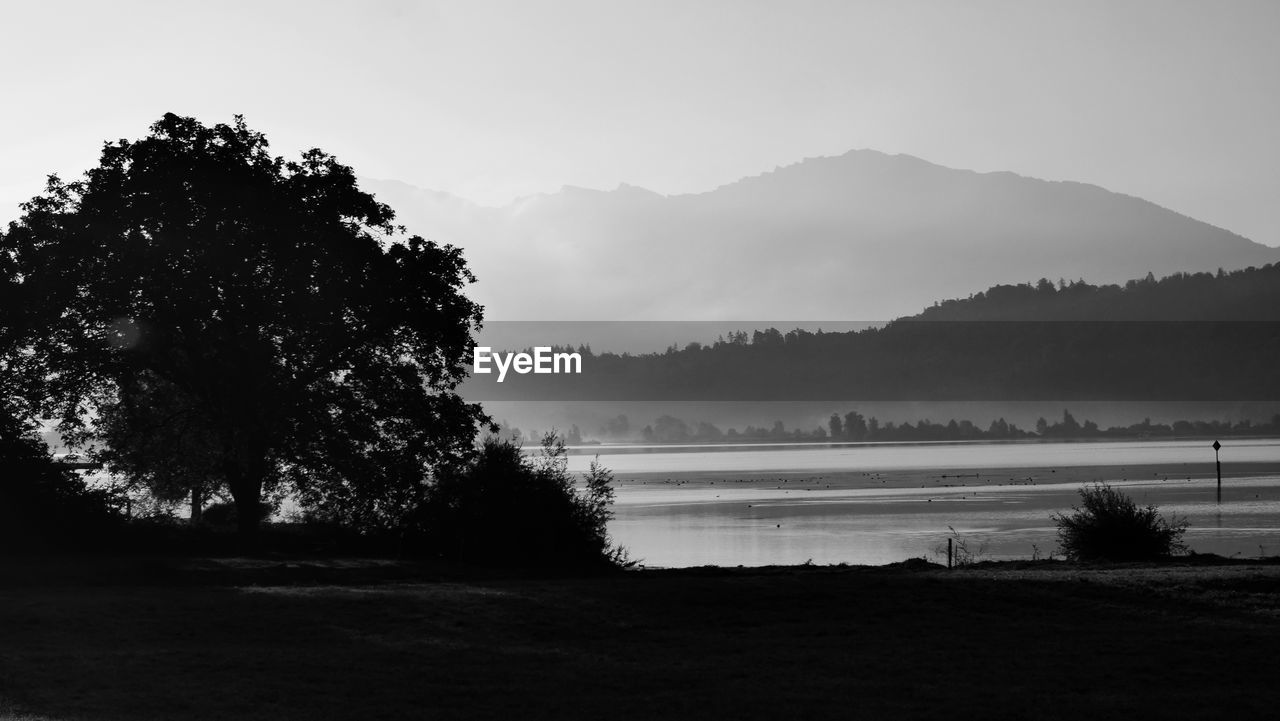 Silhouette trees by lake against sky