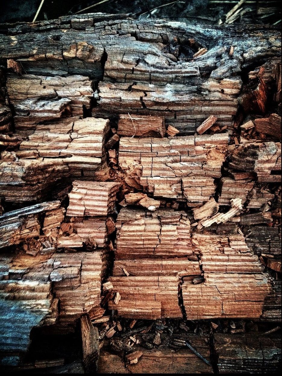 View of firewood