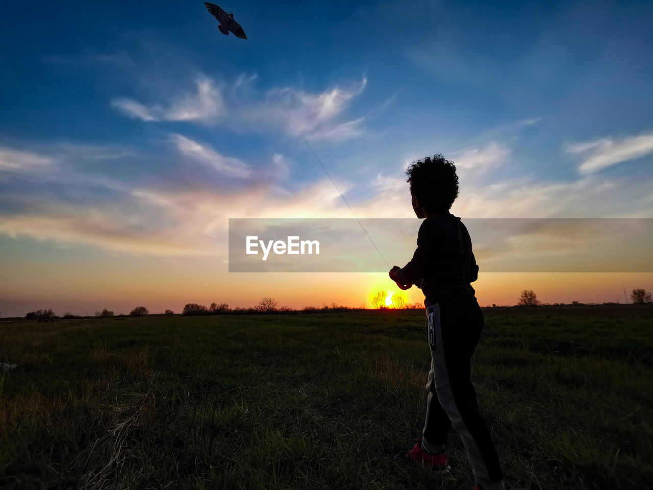 Silhouette boy flying kite standing on field against sky during sunset