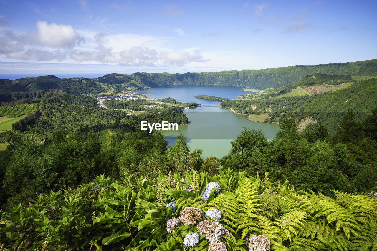 Scenic view of lake and trees against sky