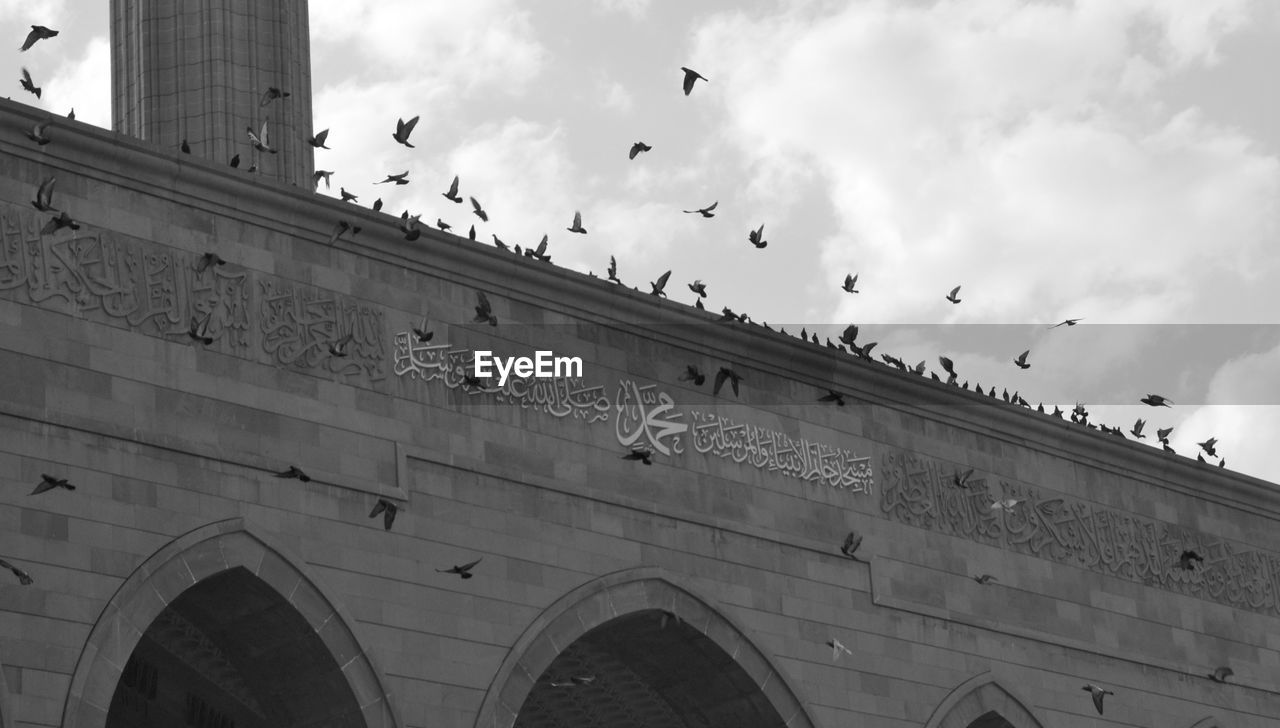 LOW ANGLE VIEW OF BIRDS FLYING AGAINST BUILDING