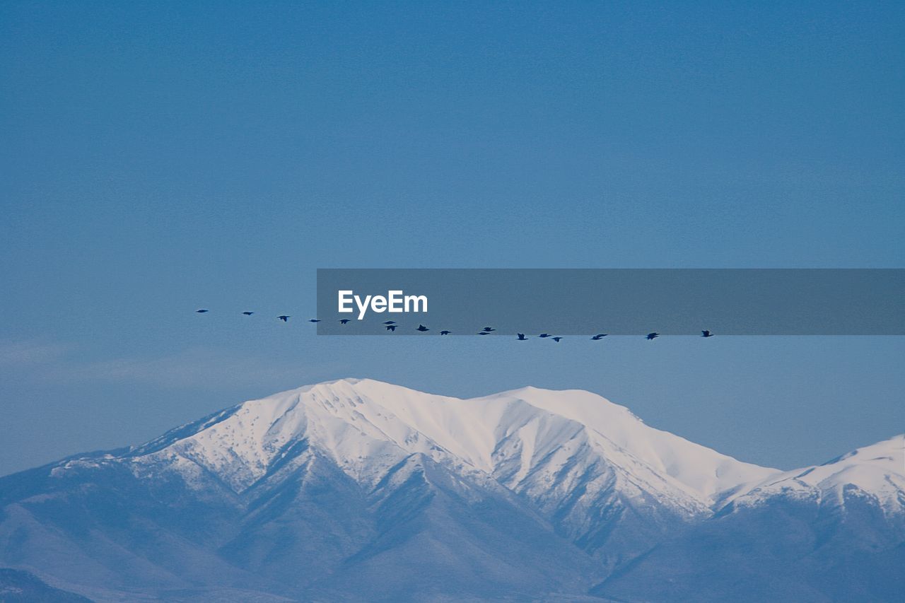 Birds flying over snowcapped mountains against sky