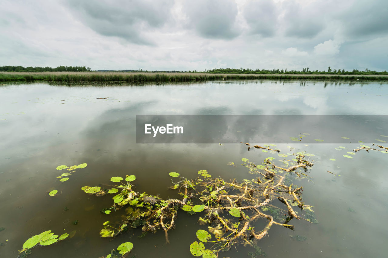 Scenic view of lake federsee against cloudy sky