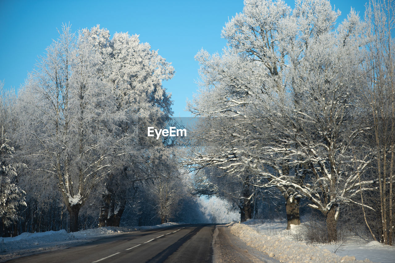 winter, tree, snow, road, frost, plant, cold temperature, transportation, nature, freezing, the way forward, sky, no people, beauty in nature, day, blue, diminishing perspective, frozen, scenics - nature, tranquility, environment, white, tranquil scene, bare tree, outdoors, landscape, empty road, non-urban scene, street, vanishing point, clear sky, branch, country road, land, sunlight, ice, travel