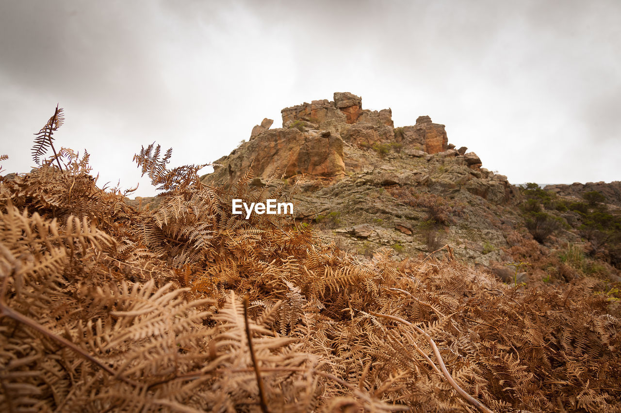 Low angle view of rock formations against sky