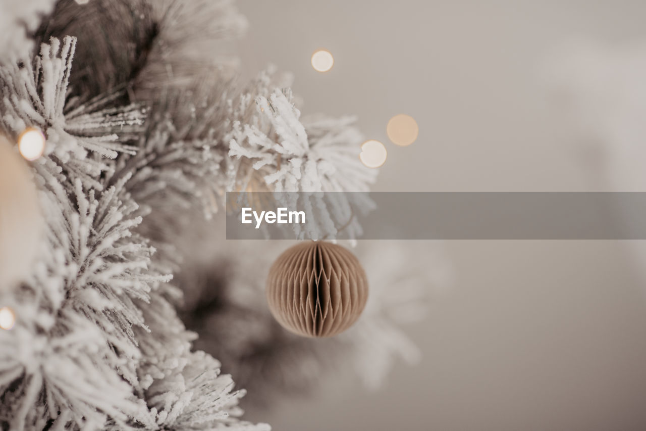 Close-up of christmas tree in snow