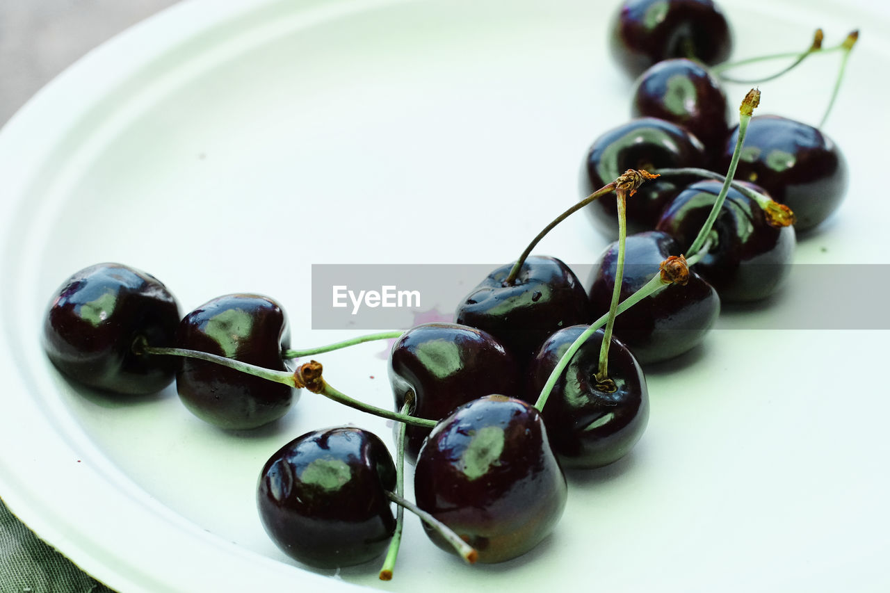A plate of delicious cherries California Cherries FUJIFILM X-T1 Freshness Snack USA Black Close-up Day Delicious Food Freshness Fruits Healthy Healthy Eating Indoors  No People Organic Paper Plate Party Still Life Summer Sweet Table Vintage Lens