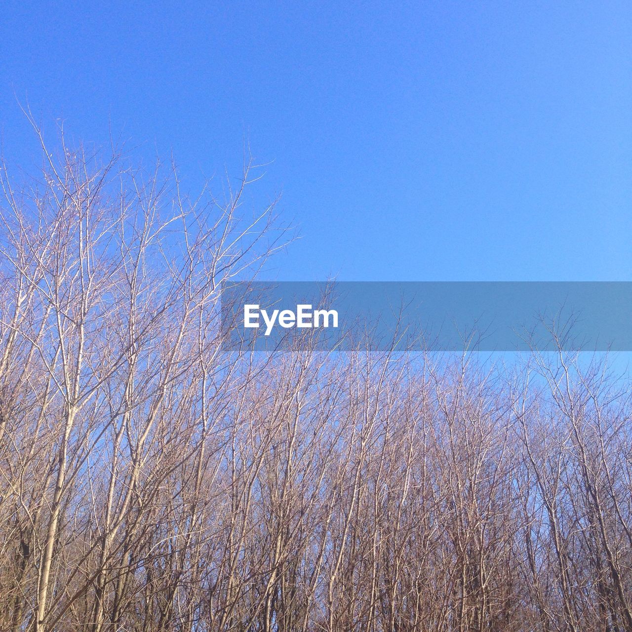 CLOSE-UP OF BLUE SKY AGAINST CLEAR SUNLIGHT