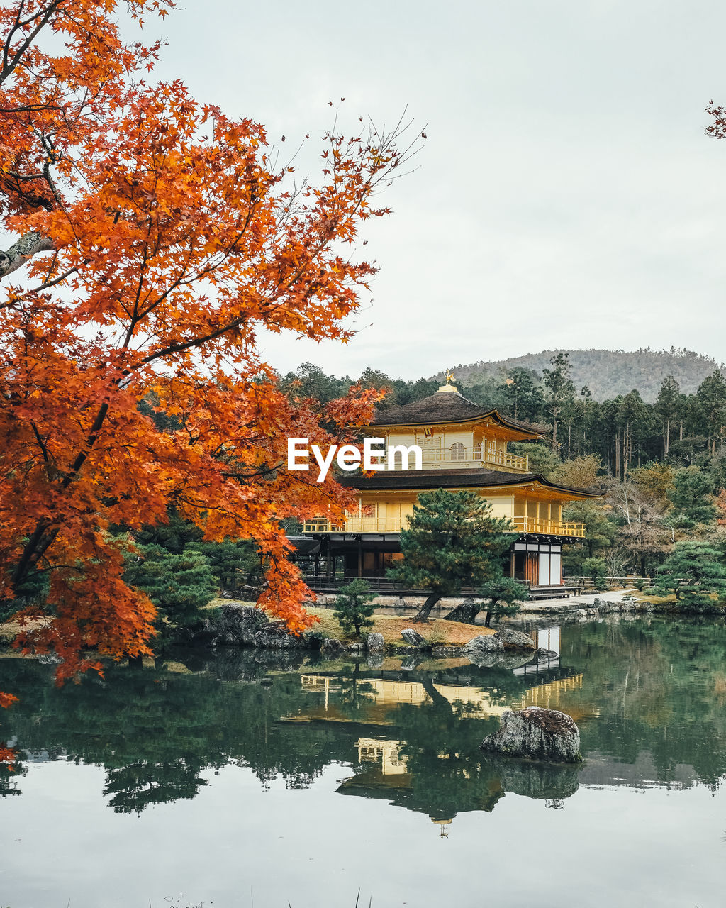 SCENIC VIEW OF LAKE BY TREES AGAINST SKY