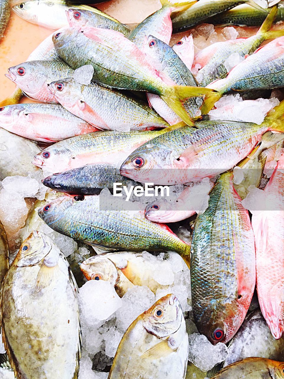 Close-up of fish for sale in market