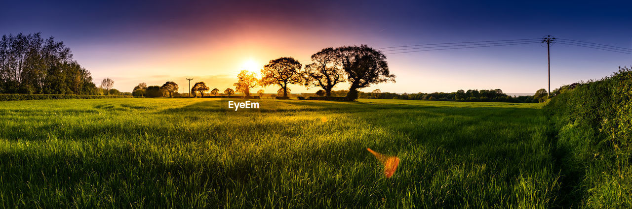 Scenic view of field against sky during sunset