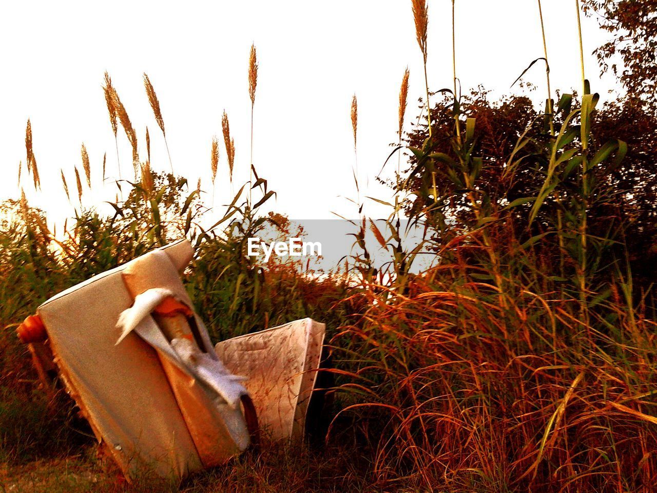 LOW SECTION OF WOMAN RELAXING ON GRASS