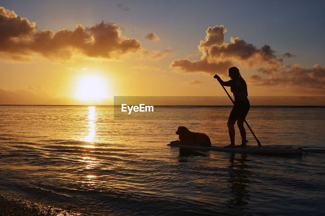Silhouette woman paddleboarding with dog in sea against sky during sunset