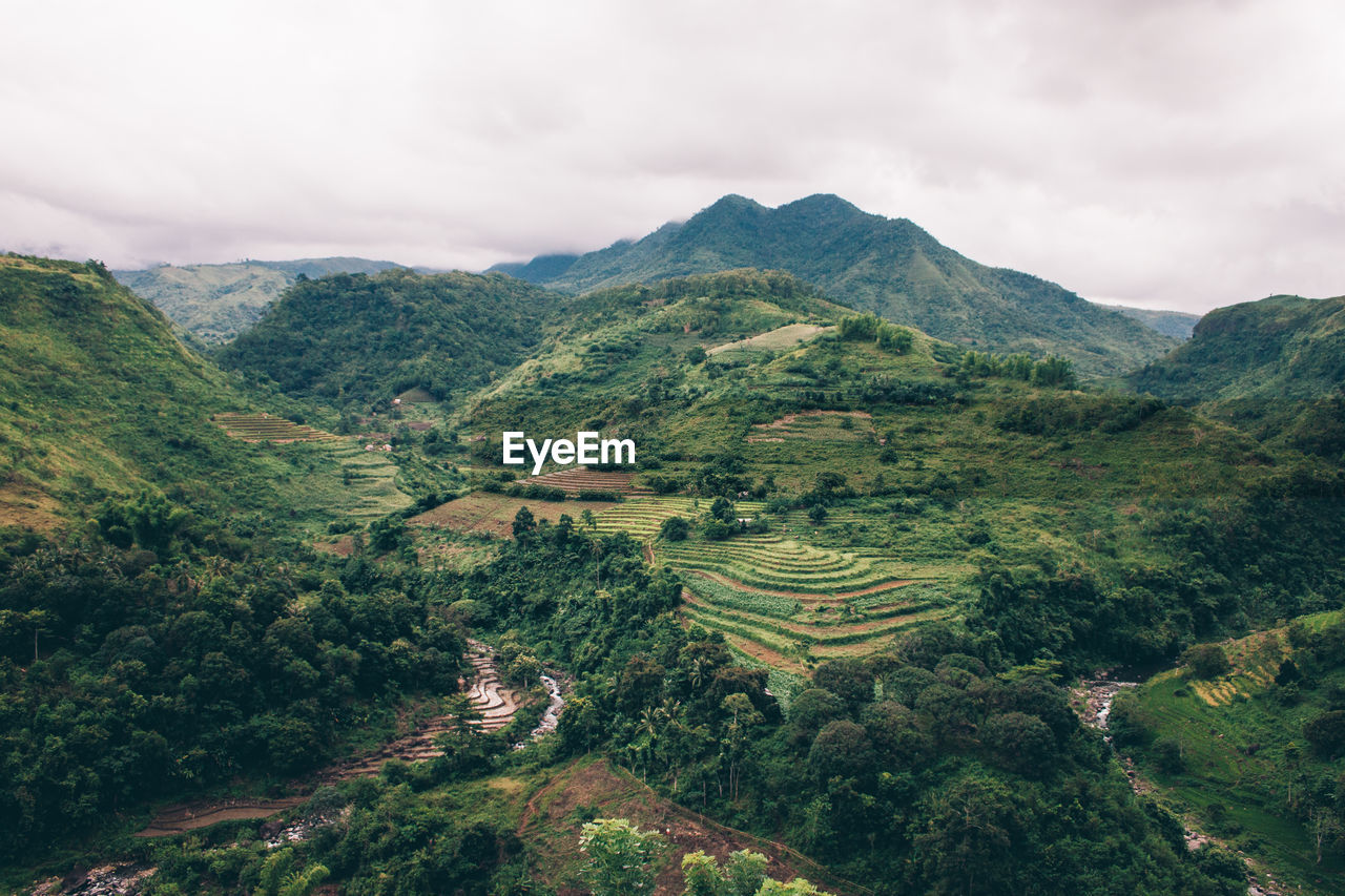 High angle view of trees on landscape against sky