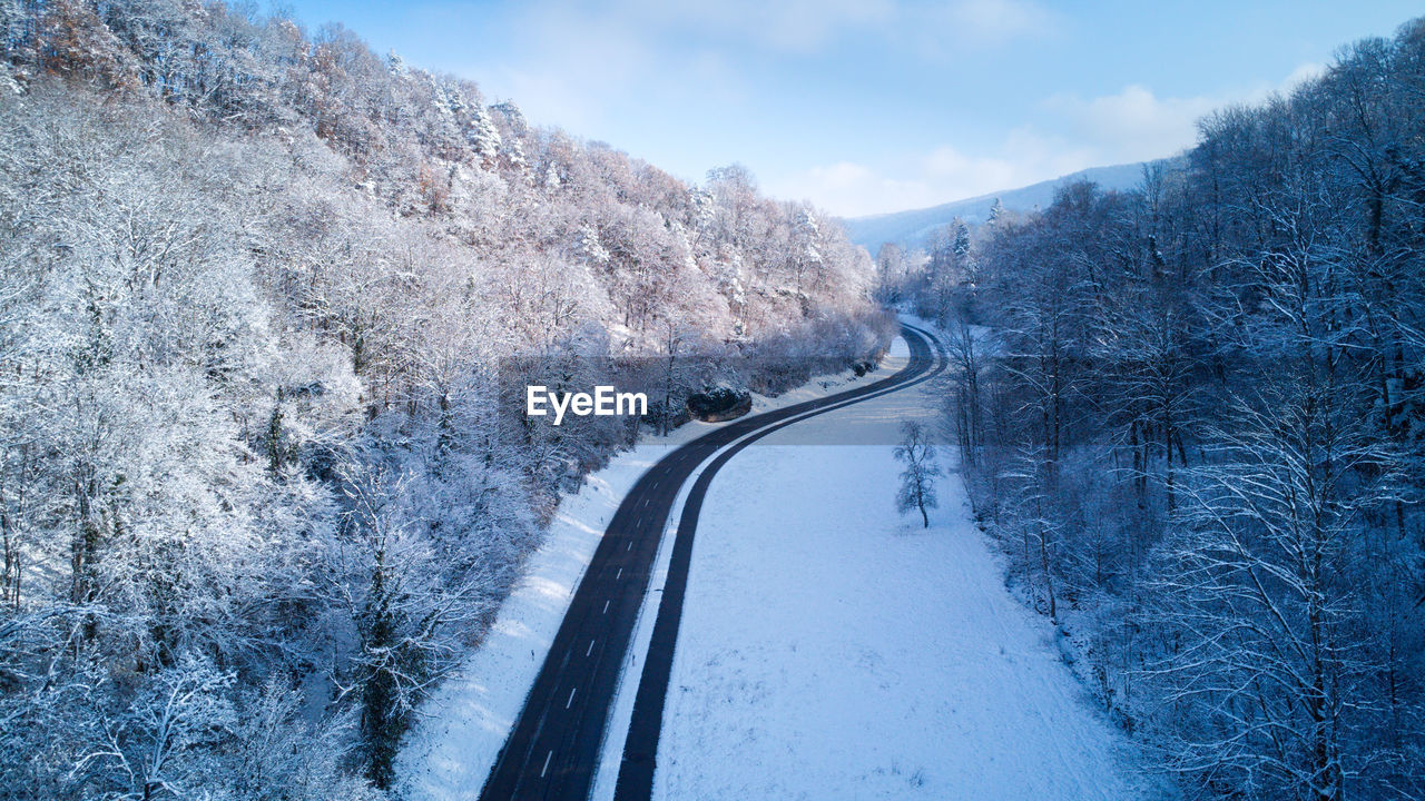 Road in snowy forest