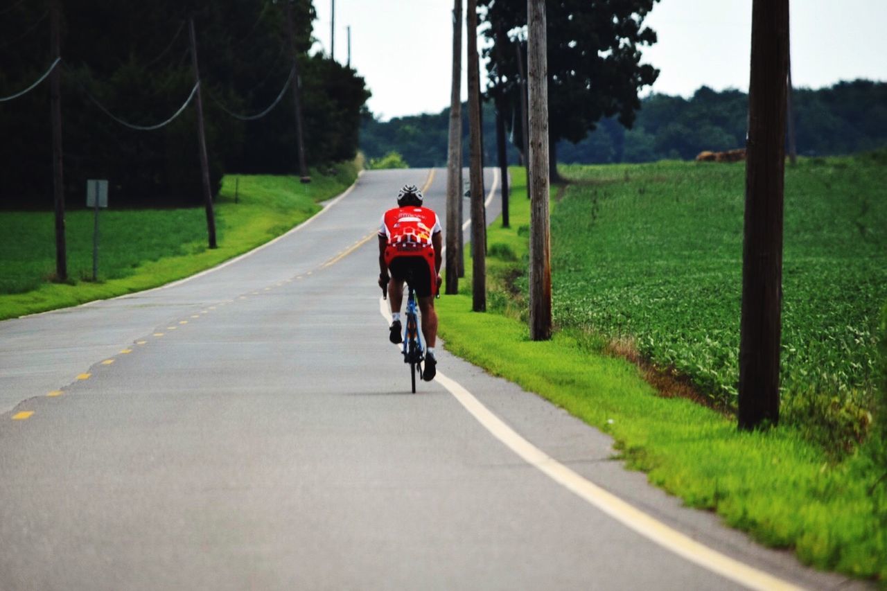 Rear view of person riding bicycle on street amidst grassy field