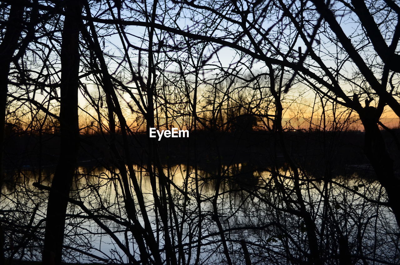 SILHOUETTE BARE TREES BY LAKE IN FOREST AGAINST SKY