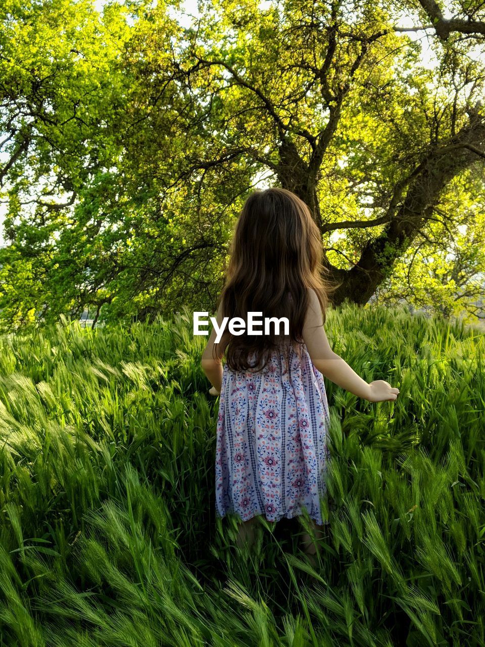 Rear view of girl standing amidst plants