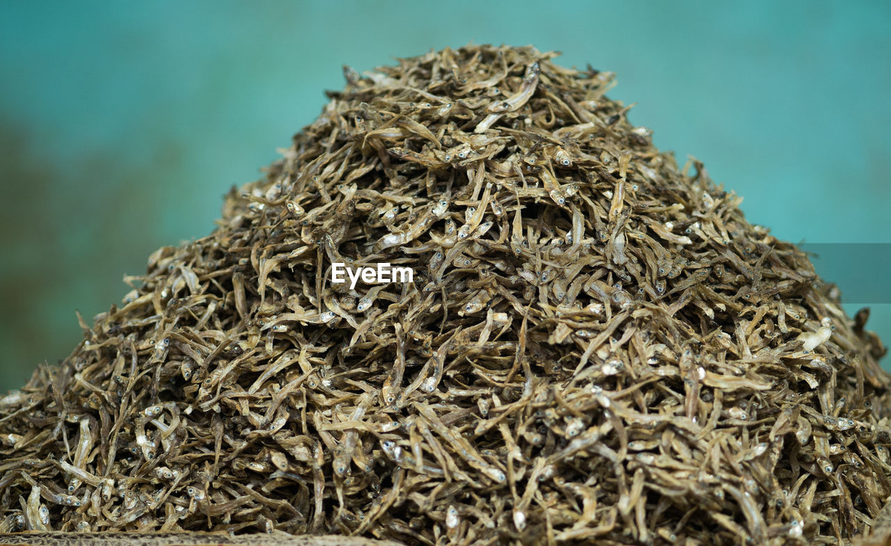 A large pile of dried anchovy fish sold in the market. indonesia.