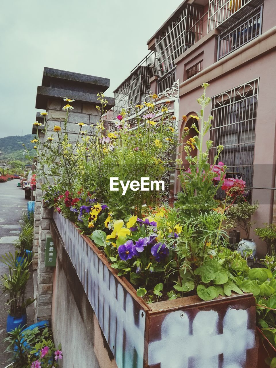 POTTED PLANTS ON BALCONY